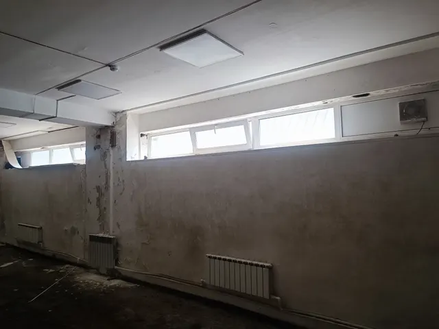 Нежилые помещения в здании (лит. А), площадью 113,9 кв. м, 1 этаж, кадастровый номер 25:28:000000:61894, расположенные по адресу: Приморский край, г. Владивосток, ул. Сабанеева, д. 15а