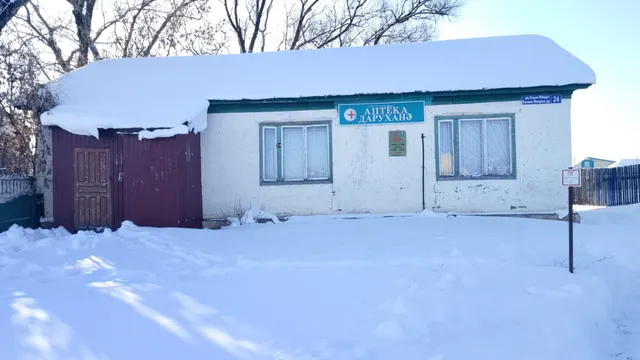Здание аптеки №255 с кадастровым №16:33:070301:1799, общая площадь 78,6 кв.м., адрес: Республика Татарстан, Пестречинский муниципальный район, Шалинское сельское поселение, с Шали, ул Кзыл Юлдуз, д 24
