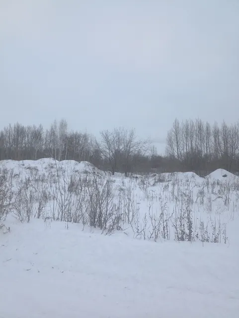 Земельный участок из состава земель населенных пунктов  с кадастровым номером 55:36:030117:1029