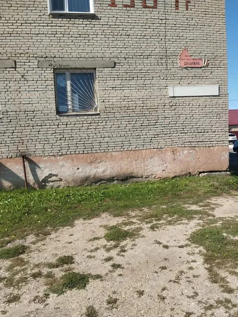 Нежилое помещение с кадастровым номером 58:06:0010101:1854 площадью 185,9 кв. м., расположенное по адресу: Пензенская область, р-н. Вадинский, с. Вадинск, ул. Пугачевская, д. 44