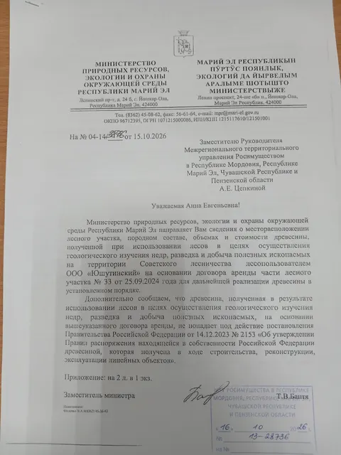Древесина