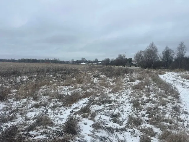 Аукцион в отношении земельного участка с КН 50:19:0060125:690