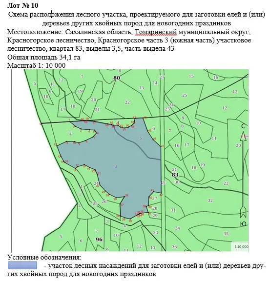Право заключения договора купли-продажи лесных насаждений для заготовки елей и (или) деревьев других хвойных пород для новогодних праздников в границах земель лесного фонда Красногорского лесничества
