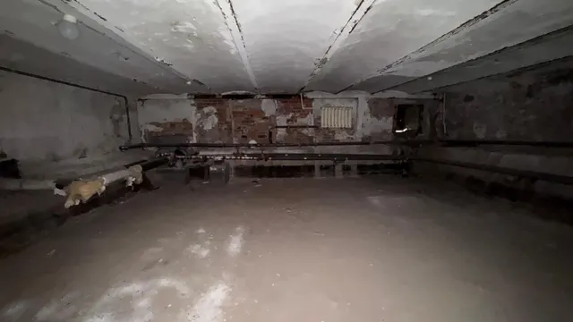 Нежилое помещение, находящееся в государственной собственности Санкт-Петербурга, расположенное по адресу: Санкт-Петербург, ул. Детская, д. 34, литера А, пом. 3-Н