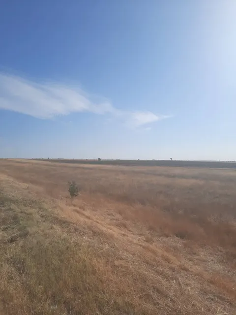Земельный участок площадью 447000 +/- 5850 кв.м., категория земель: земли сельскохозяйственного назначения, для ведения крестьянского (фермерского) хозяйства, кадастровый № 61:32:0600007:7734, должник Дудаев Д.Т., (Поручение ТУ Росимущества в РО от 11.09.2026 № 61-1621-У). Адрес (местоположение): Ростовская область, Ремонтненский район, Краснопартизанское сельское поселение, в 9,1 км. северо-восточнее п. Краснопартизанский, на 30 отарном участке.