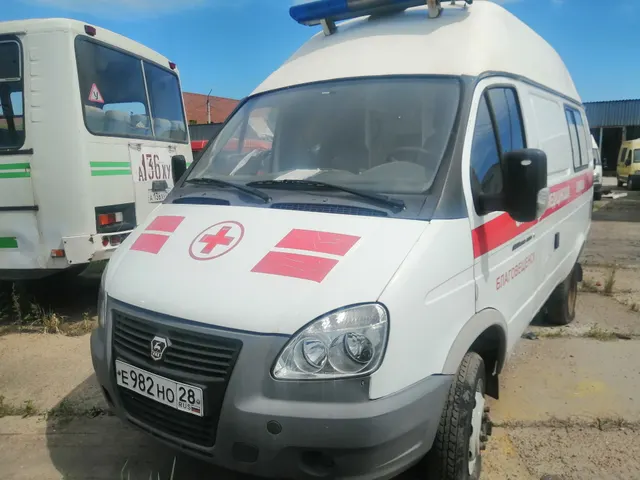 Автомобиль скорой медицинской помощи 384065, (VIN) Z8X384065D0001719, год выпуска 2013