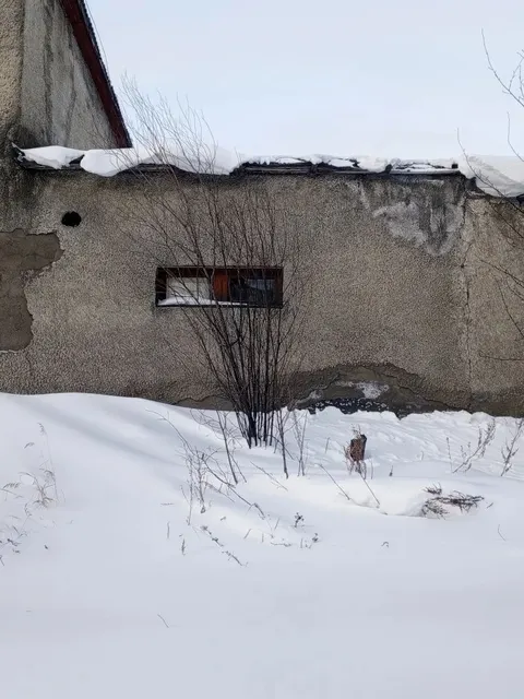 Нежилое помещение с кадастровым номером 49:06:000000:872, расположенное в Магаданской области, Тенькинский район, пгт. Усть-Омчуг, ул. Заречная