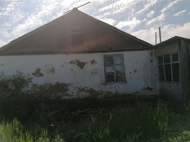 одноэтажное нежилое здание площадь 83,7 кв.м; адрес (местонахождение): Российская Федерация, Оренбургская область, м.р-н Илекский, с.п. Затонновский сельсовет, с Затонное, ул Советская, д. 13, подземных этажей: 0; кадастровый номер 56:12:0201001:513, материал наружных стен: Из прочих материалов, год завершения строительства: 1971  и земельный участок площадью 1054 кв.м с кадастровым номером с кадастровым номером 56:12:0201001:466