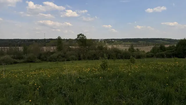 Аукцион в отношении земельного участка с КН 50:08:0080319:420