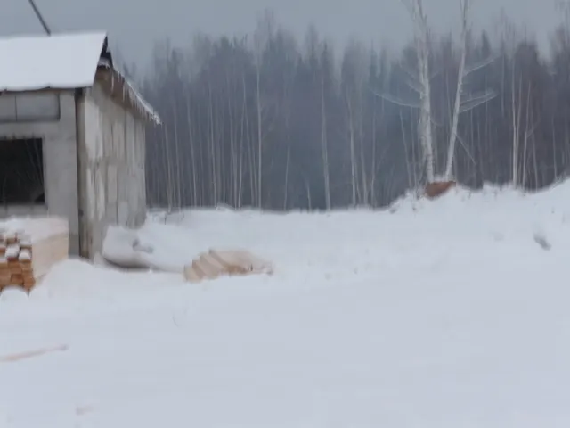 Нежилое здание, материал наружных стен: из прочным материалов, одноэтажное, 1994 года постройки, площадью 727,8 кв.м., кадастровый номер 59:39:1070205:24, местонахождения: Пермский край, Чердынский муниципальный округ, поселок Рябинино, улица Северная, здание 3/6, расположенное на земельном участке с кадастровым номером 59:39:1070205:7, площадью 4134 кв.м., категория земель: земли населенных пунктов, разрешенное использование: для общественно-деловых целей, адрес местонахождения: Пермский край,