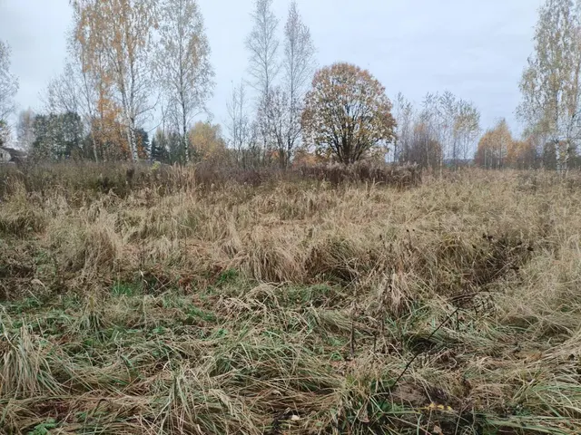 Аукцион в отношении земельного участка с КН 50:18:0070314:564