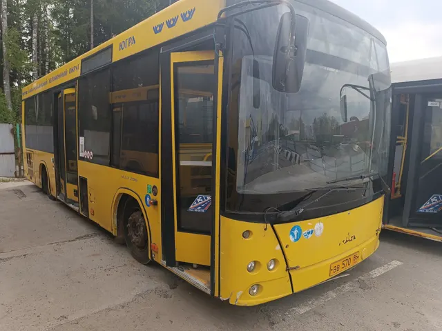 Автобус МАЗ 206085, государственный регистрационный знак ВВ 570 86