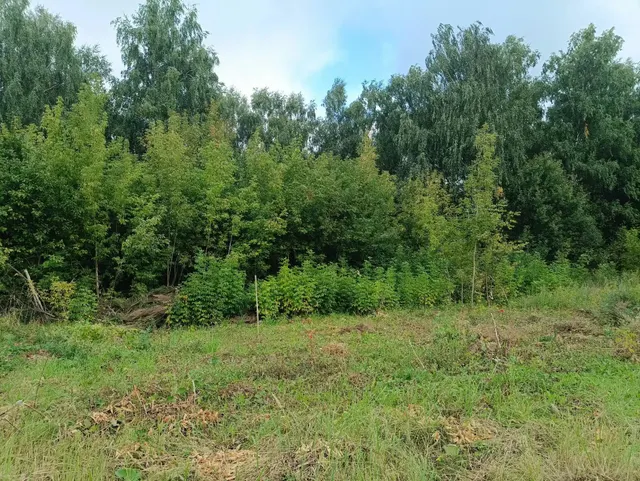 Аукцион в отношении земельного участка с КН 50:28:0050422:607