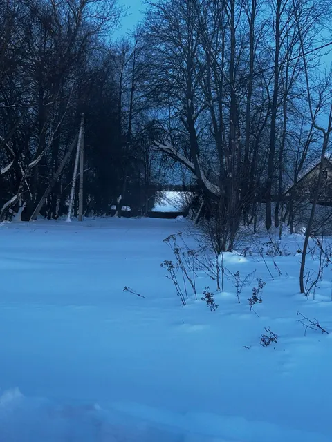 Аукцион в отношении земельного участка с КН 50:33:0010305:586