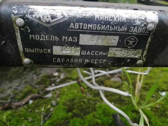 Автоприцеп одноосный «Зубрёнок» с государственным регистрационным знаком 2134ЛН