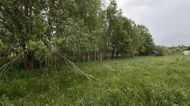 Аукцион в отношении земельного участка с КН 50:08:0080109:529