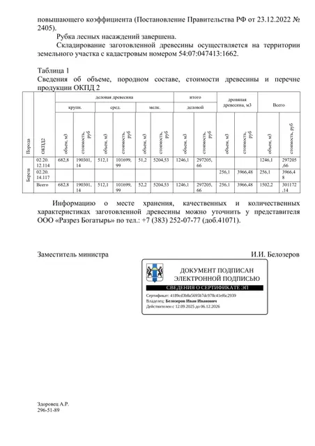 Лот 11. Всего древесины (куб. м.) - 1 502,20 куб. м, из них: деловой березы - 1 246,10 куб. м,; дровяной березы - 256,10 куб. м.