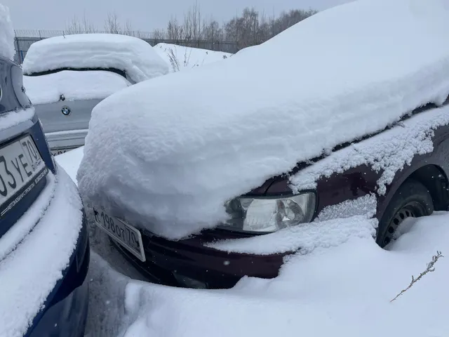 Автомобиль ВАЗ 21099, Автомобиль Ниссан Максима, Автомобиль Toyota Avensis, Автомобиль ВАЗ  21093, Автомобиль ВАЗ 11183, Автомобиль Ниссан Bluebird Sylphy, Автомобиль ВАЗ 2109