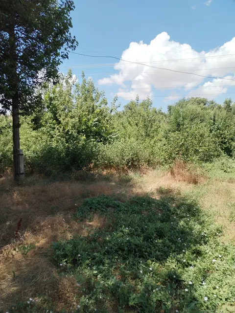 Право на заключение договора аренды земельного участка