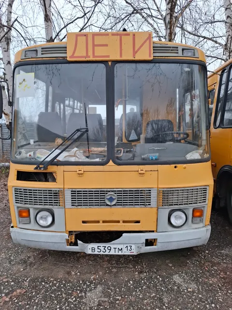 Автобус для перевозки детей морд