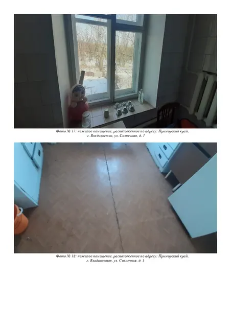 Нежилое помещение с кадастровым номером 25:28:000000:52290 площадью 52,7 кв.м, расположенное по адресу: Приморский край, г. Владивосток, ул. Солнечная, 1