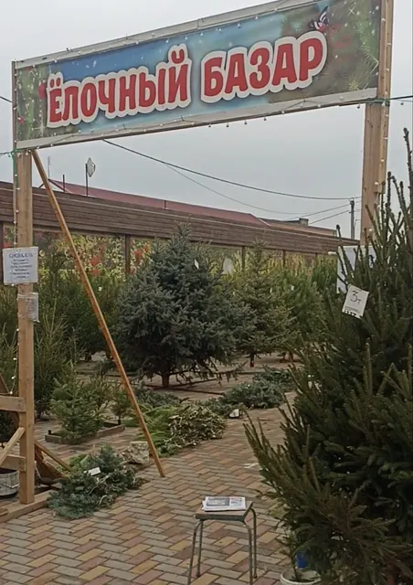 Предоставление права на размещение нестационарных торговых объектов на территории Гулькевичского городского поселения Гулькевичского района