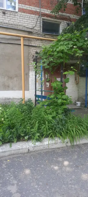 Лот № 21 (повторные торги). Жилой дом площадью 99,1 кв. м, кадастровый номер 36:19:2400009:49, земельный участок площадью 4700 кв. м, кадастровый номер 36:19:2400009:35, расположенные по адресу: Воронежская область, Острогожский район, с. Дальняя Полубянка, ул. Молодежная, 3 - принадлежащие Селину В.И.