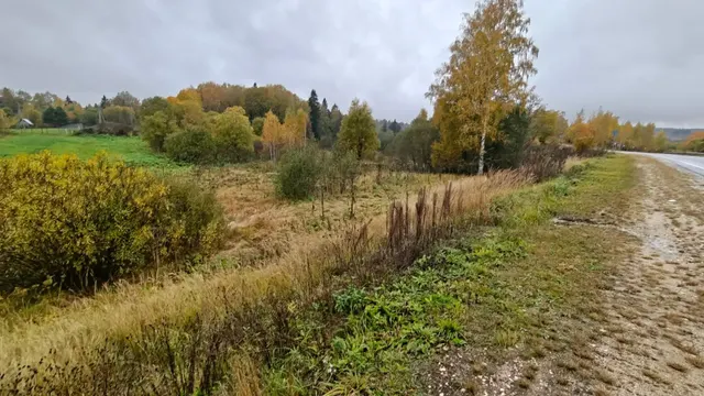 Аукцион в отношении земельного участка с КН 50:19:0030308:1153