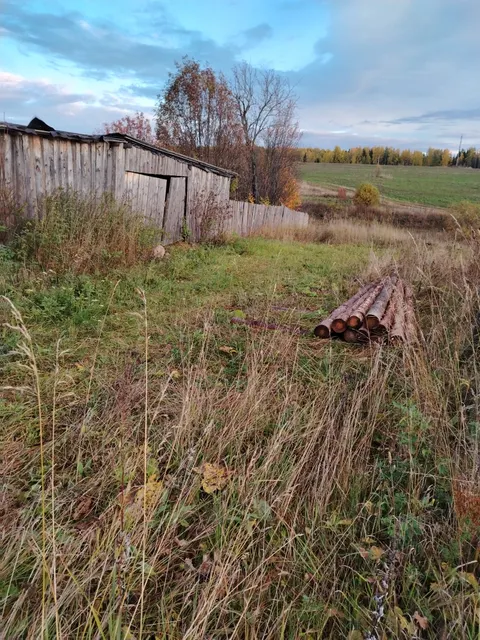 Древесина пород ель и пихта, в форме бревен, дров, частей стволов (годные остатки)