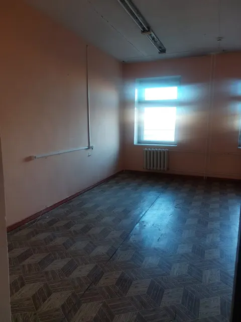 Земельный участок площадью с расположенным на нем объектом недвижимого имущества по адресу: Иркутская область, г. Усть-Илимск, ул. Братская, 55