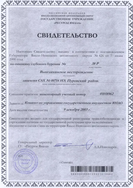 Сооружение, Скважина № 38-Р глубиной 3 090 м, РНФИ П12870000461, кадастровый номер 89:05:030803:5964, расположенная по адресу: Ямало-Ненецкий автономный округ, р-н Пуровский, Вынгаяхинское месторождение