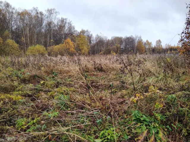 Аукцион в отношении земельного участка с КН 50:31:0050316:415