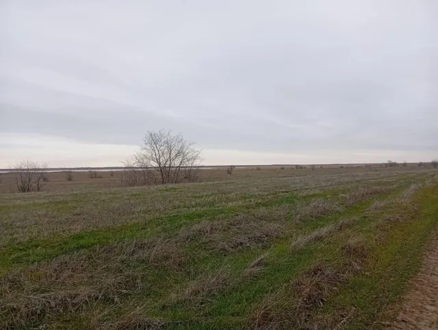 Земельный участок площадью 133254 +/- 3194 кв.м., категория земель: земли сельскохозяйственного назначения, сельскохозяйственное использование, кадастровый № 61:06:0600007:585, должник Пинкин Е.А., (Поручение ТУ Росимущества в РО от 29.07.2026 № 61-1136-У). Адрес (местоположение): Ростовская область, Веселовский район, х. Свобода.