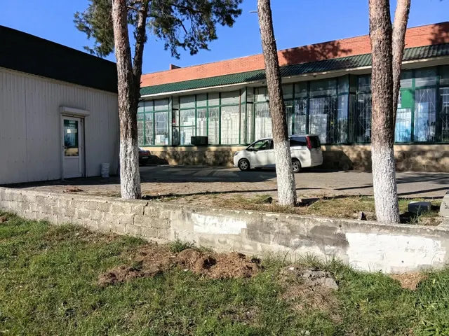 Размещение НТО елочный базар