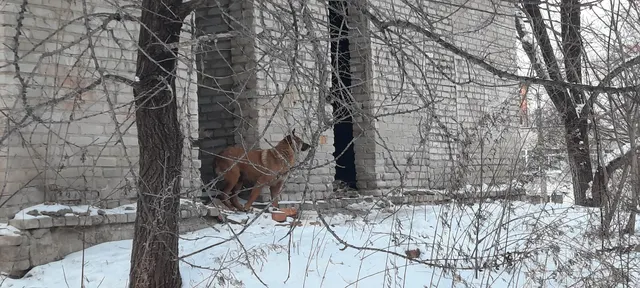 здание