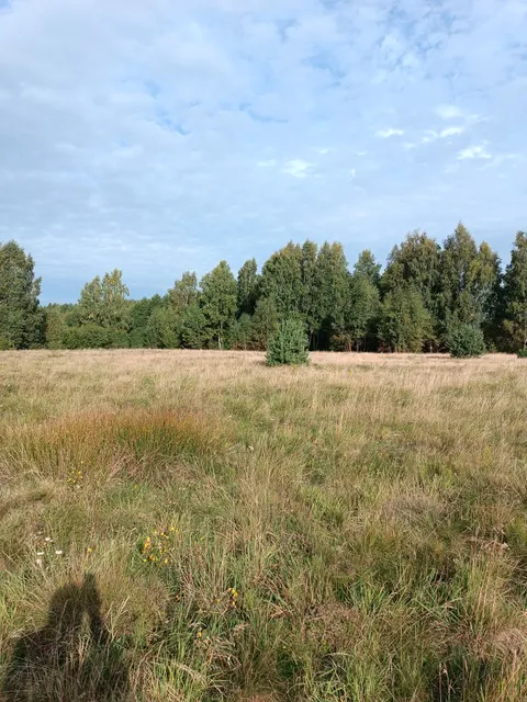 земельный участок с кадастровым номером 39:20:010110:443