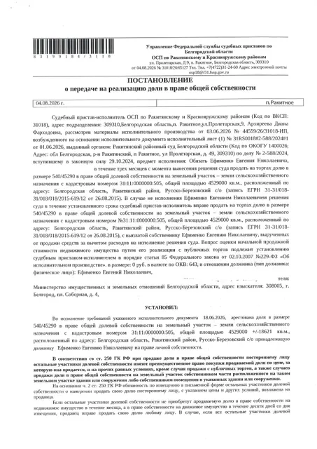 Доля в размере 540/45290 в праве общей долевой собственности на земельный участок площадью 4529000 кв. м, кадастровый номер 31:11:0000000:505. Имущество обременено: арест, запрещение регистрации. Имущество принадлежит на праве собственности Ефименко Е.Н. Взыскатель: Министерство земельных и имущественных отношений Белгородской области. Основание реализации: исполнительный лист Ракитянского районного суда Белгородской области по делу № 2-588/2024 от 17.09.2024.