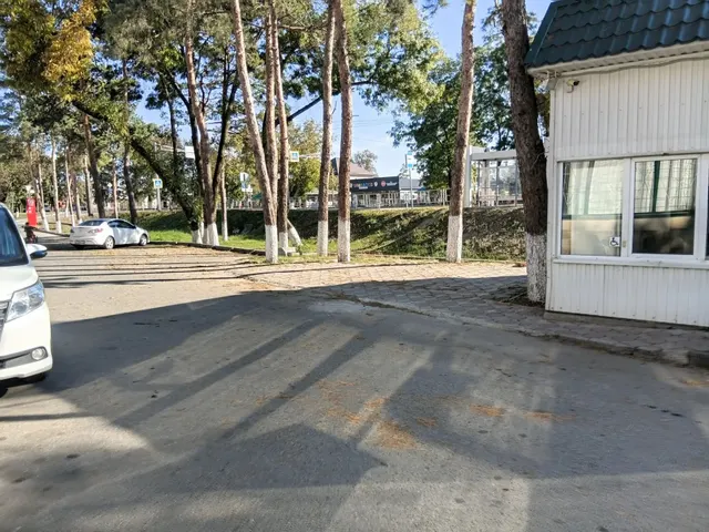 Размещение НТО елочный базар