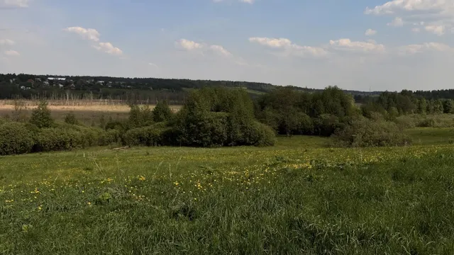 Аукцион в отношении земельного участка с КН 50:08:0080319:421