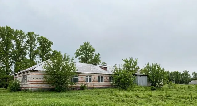 Здание фельдшерско-акушерского пункта, по адресу: Курганская область,  Белозерский район,  с. Боровское,  ул. Советская, д. 35