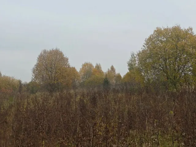 Аукцион в отношении земельного участка с КН 50:05:0040410:382