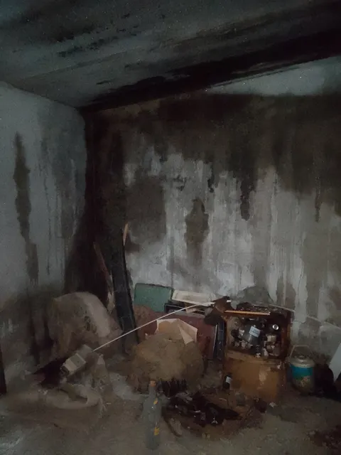 гараж и сушилка, общей площадью 74,7 кв.м., кадастровый номер: 13:23:0903120:244, расположенные по адресу: Республика Мордовия, Чамзинский район, р.п. Комсомольский,  ул. Садовая