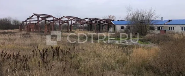 Здание - коровник №1 на 200 голов КРС с доильным залом, 1381,8 кв.м., Брянская обл. Лот №6