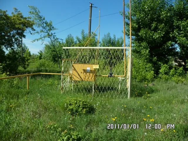 ЛОТ № 6