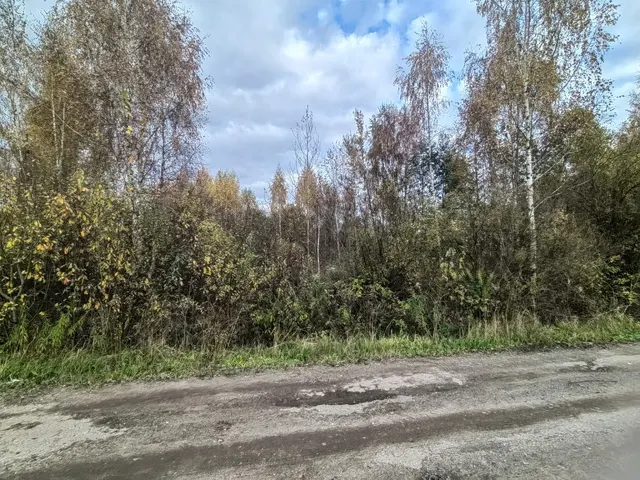 Земельный участок с кадастровым номером 69:40:0100186:676, площадью 975 кв. м.Адрес объекта (описание местоположения): Тверская область, г Тверь, пер Мухинский.