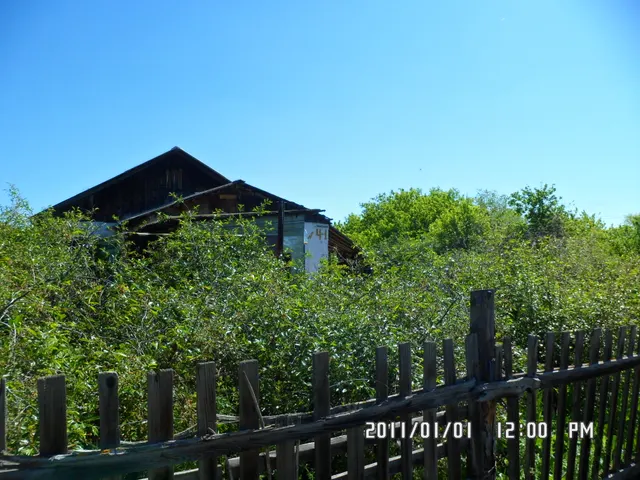 ЛОТ № 6