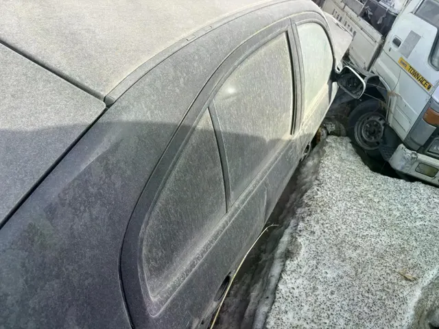 Автомобиль Skoda Octavia, 2005 г.в., г/н С221АУ124, VIN TMBDK41U368850932. В аварийном состоянии, комплектность и состояние  не проверялась данное  имущество обращено в доход государства. Находится в Бирилюсском районе