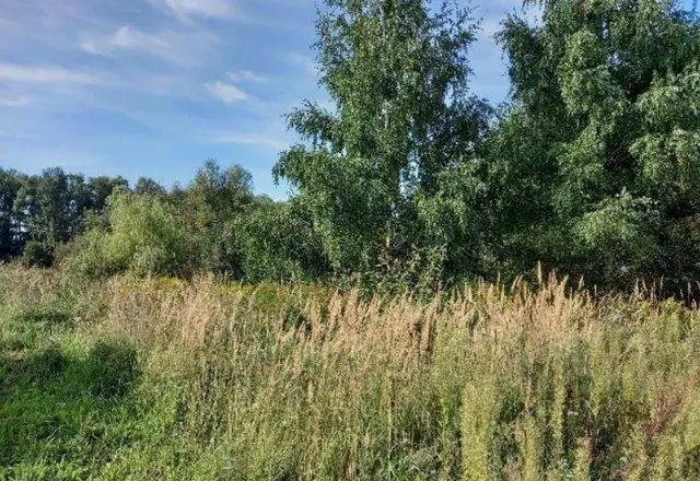 Аукцион в отношении земельного участка с КН 50:04:0210106:2283