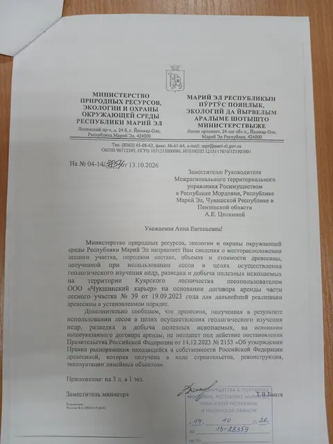 Древесина