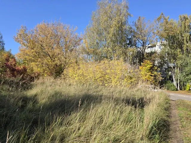 Аукцион в отношении земельного участка с КН 50:16:0501003:3144